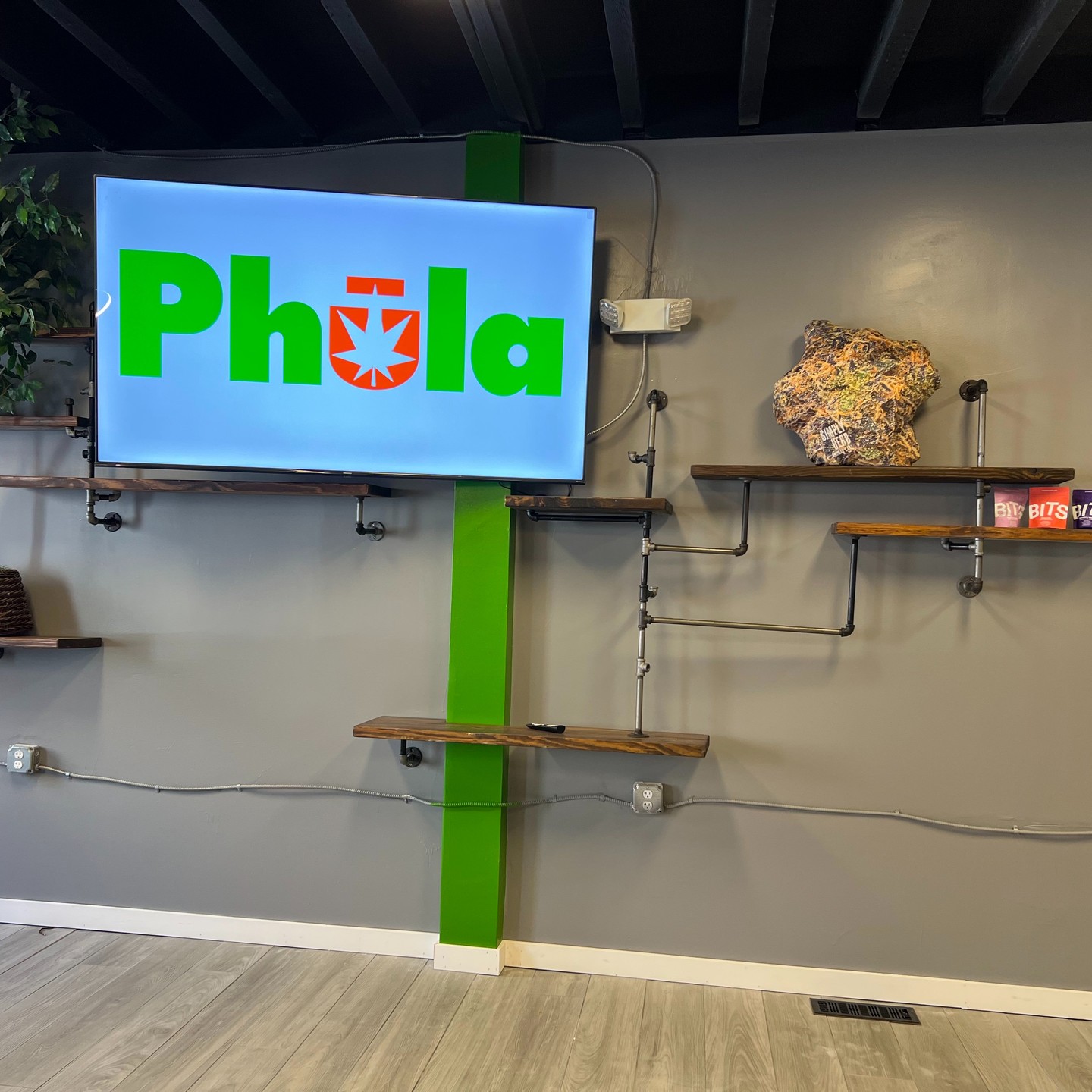 370487560_265391846273074_1516625402018400593_n