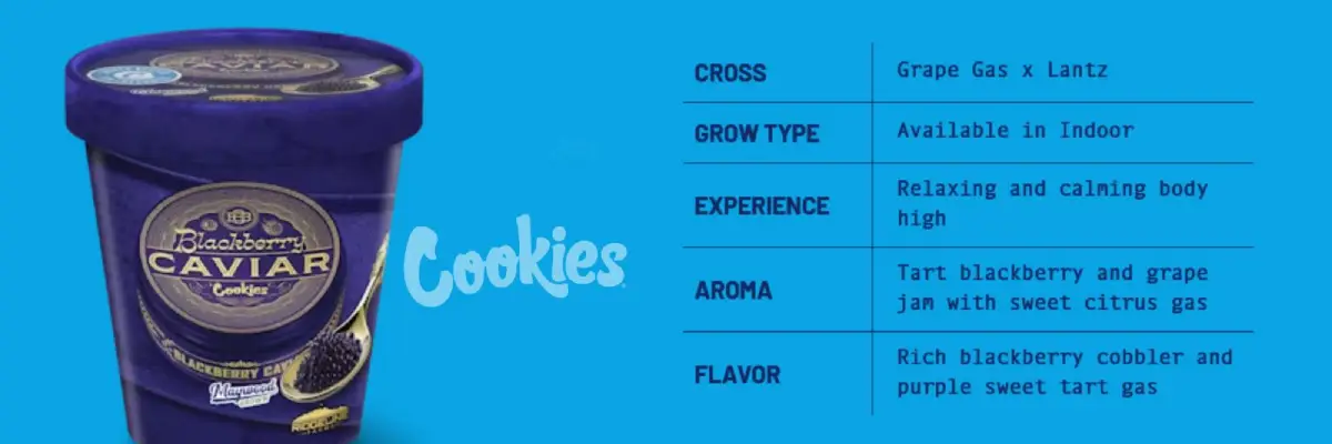 7c59de9cd00cd75e7e221ad029360149 (1) (1)